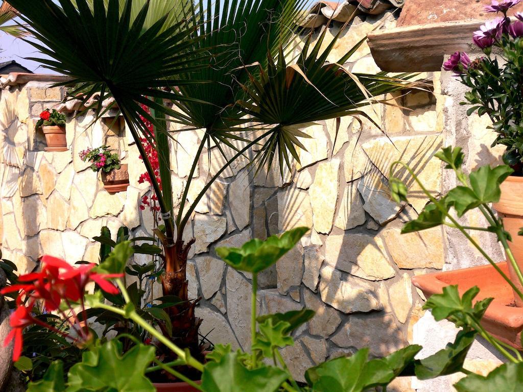 Apartmenthaus Casa Palma Bühl Exterior foto